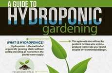 Hydroponic Gardening Guides