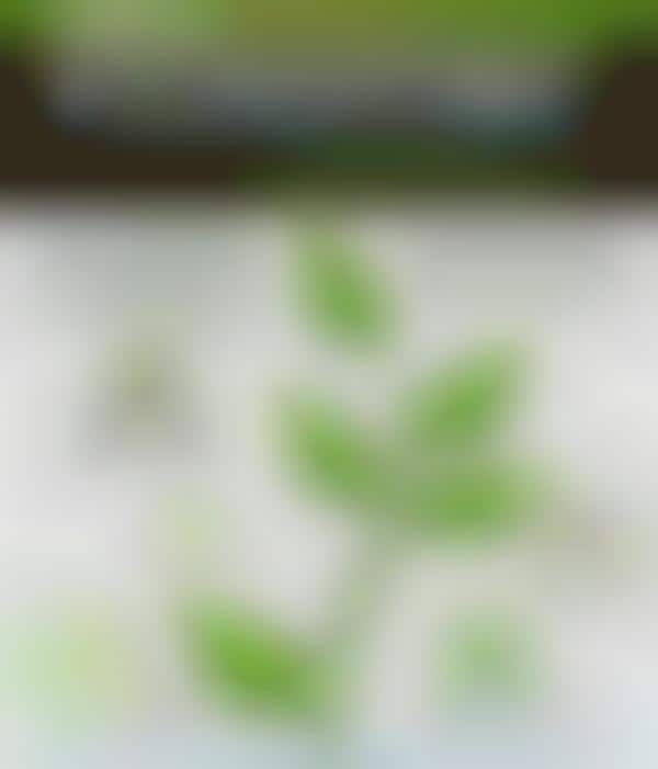Hydroponic Gardening Guides