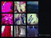 Couture Film Star Applications Image 3