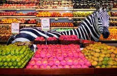 Displaced Wildlife Candids