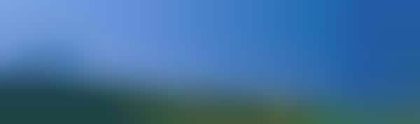 Carbon Offset B Corps
