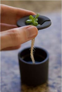 Twig-Fostering Flower Pots Image 4