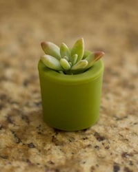 Twig-Fostering Flower Pots Image 6