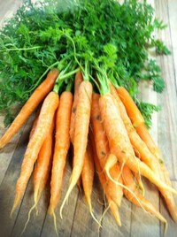 Seasonal Eco Eateries Image 6