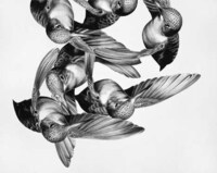 Wax Pencil Drawings Image 2