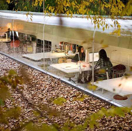 3 Lessons Big Businesses Can Learn from Start-Up Cultures