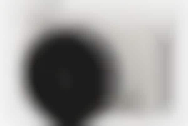Mirrorless Lens Cameras