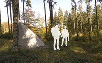 Inclined Forest Refuges Image 5