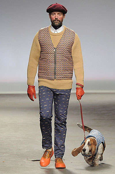 Daring Dog Walking Catwalks