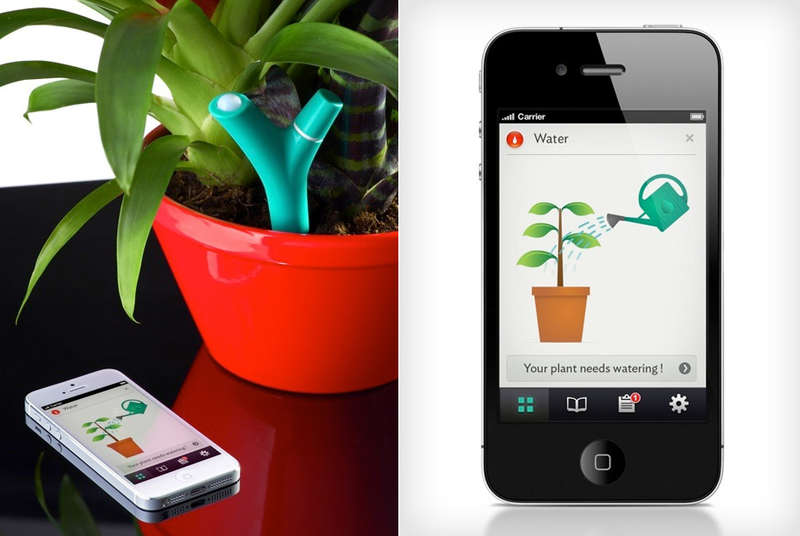 Sensory Plant Detectors