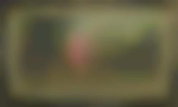 Revamped Recycled Art