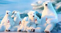 Personified Polar Bear Promos Image 4