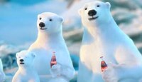 Personified Polar Bear Promos Image 5