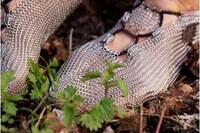Minimal Chainmail Footwear Image 7