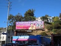 Puppy Plastic Surgery Ads Image 2