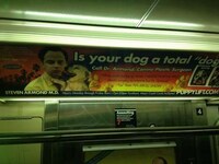 Puppy Plastic Surgery Ads Image 3