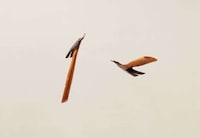 Distorted Object Photography Image 2
