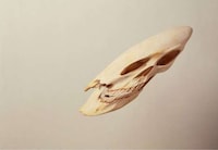 Distorted Object Photography Image 3