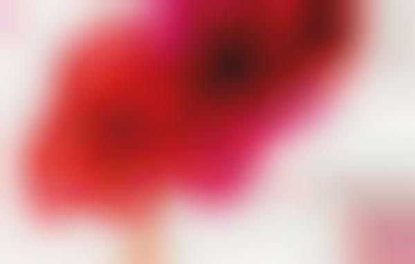 Botanical Beauty Editorials