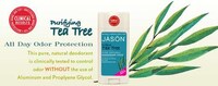 Pioneering Natural Makeup Companies Image 2