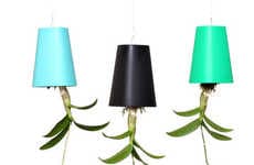 Upside Down Flower Pots