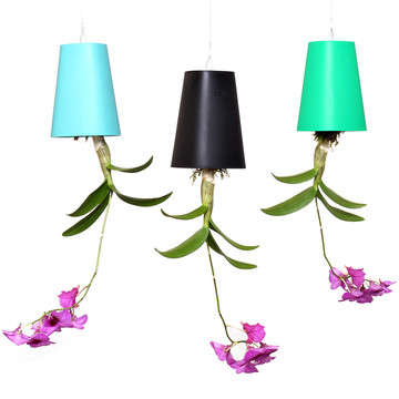 Upside Down Flower Pots