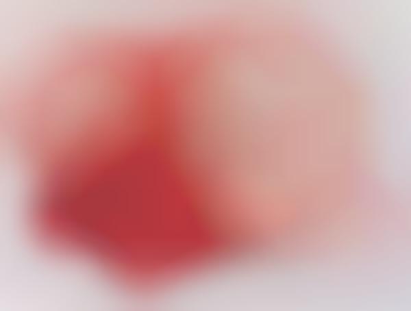 Effervescent Bubblegum Portraits