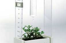 Ethical Planter Calendars