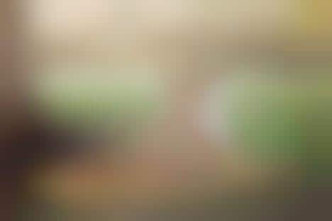 Peruvian-Printed Footwear