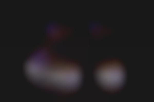 supra leopard high tops