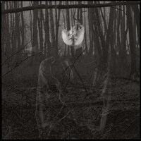 Beautifully Sinister Photography Image 6