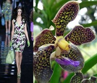 Exotic Flower Fashion Image 2