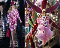 Exotic Flower Fashion Image 3