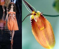 Exotic Flower Fashion Image 4
