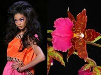 Exotic Flower Fashion Image 5