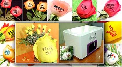 Top 63 Gardening Trends