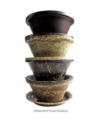 Plates Made of Coffee Grounds