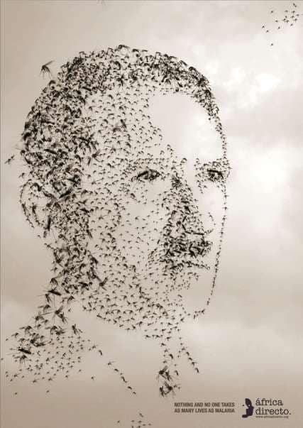 Drawing With Mosquitos