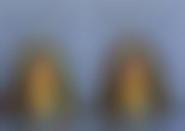 American Idol Obsession