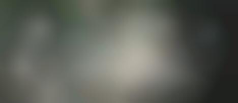 Pablo Picasso in 3-D