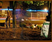 Guerrilla Gardeners Image 2