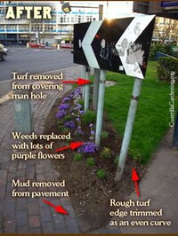 Guerrilla Gardeners Image 3