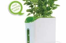 Automated Plant Growing