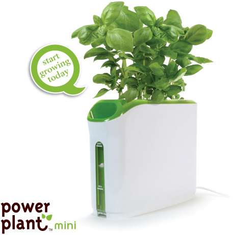 Automated Plant Growing