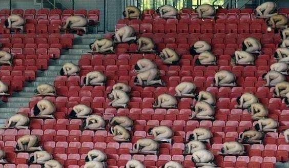 1,800 Nude People as Art