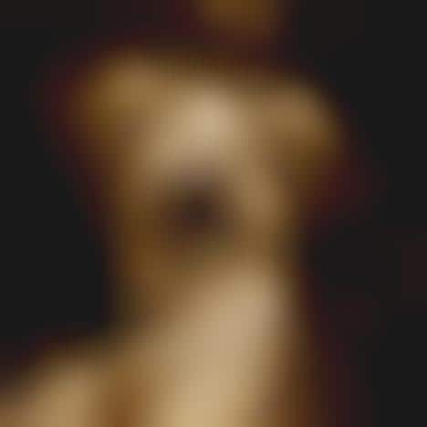 Nightmare-Inspired Photograpy