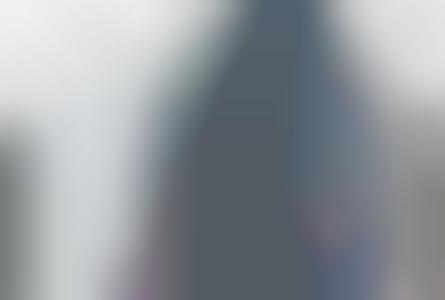 Cloning Cancer Sniffing Dogs