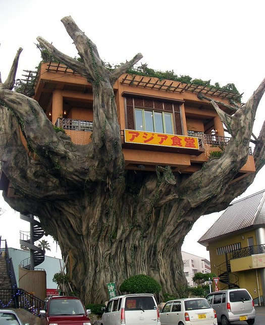 Arboreal Restaurants