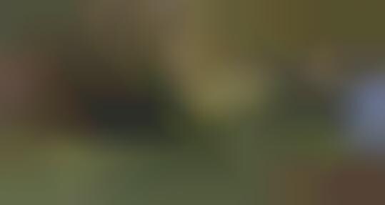 Baseball Auto Ads