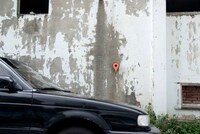 Search Engine-Marked Avian Homes Image 5